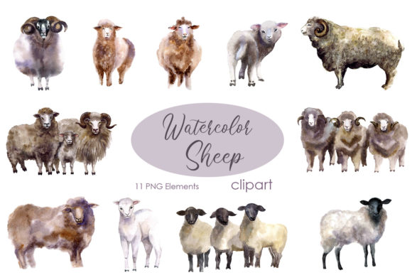 Charming Watercolor Sheep Clipart for Creative Projects