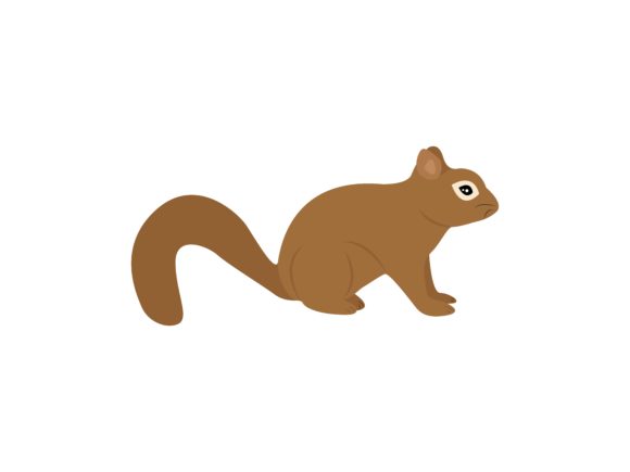 Squirel Animal: Adding Playful Energy to Modern Designs